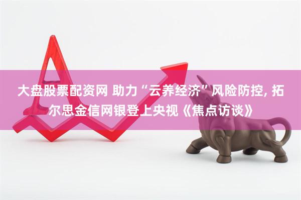 大盘股票配资网 助力“云养经济”风险防控, 拓尔思金信网银登上央视《焦点访谈》